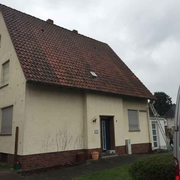 Verschlossene Einblaslöcher mit Fugenmörtel in weiss.