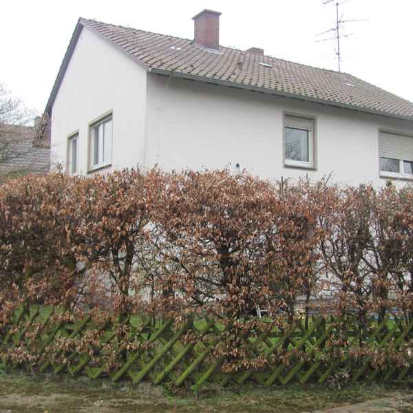 Zweischaliges Mauerwerk mit Steinwolle verfüllt.