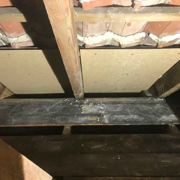 Montierte Hartfaserplatten in den Sparrenfeldern.