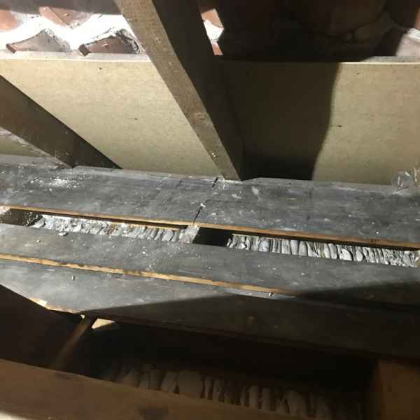 Sparren werden zum Ausblasen vorbereitet.