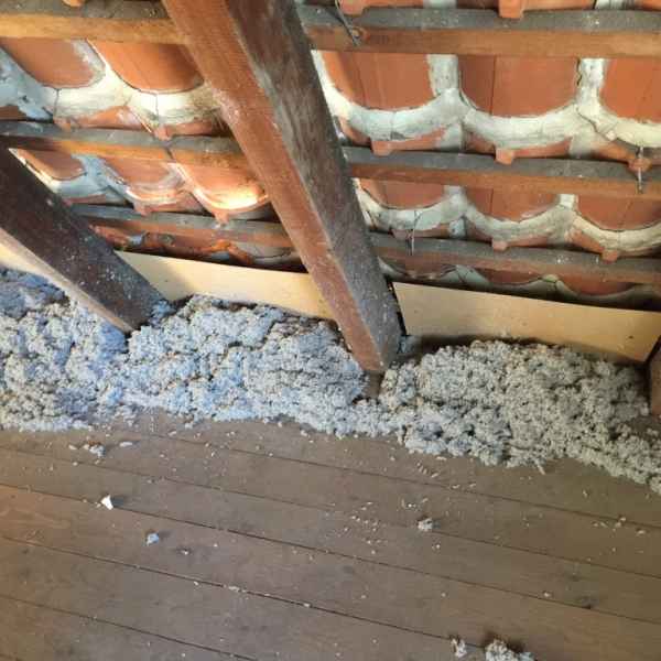 Mit Zellulose-Einblasdämmstoff WLG 039 gedämmte Dachfelder.