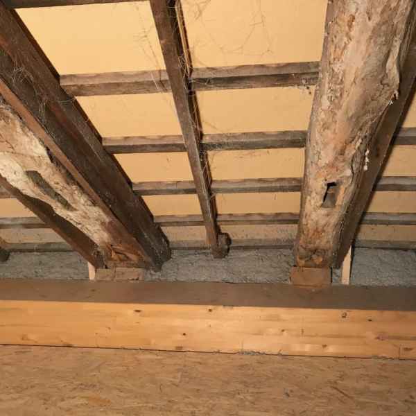 Dachdämmung mit Zellulose nach Fertigstellung.